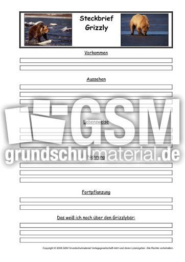 Grizzly-Steckbriefvorlage.pdf